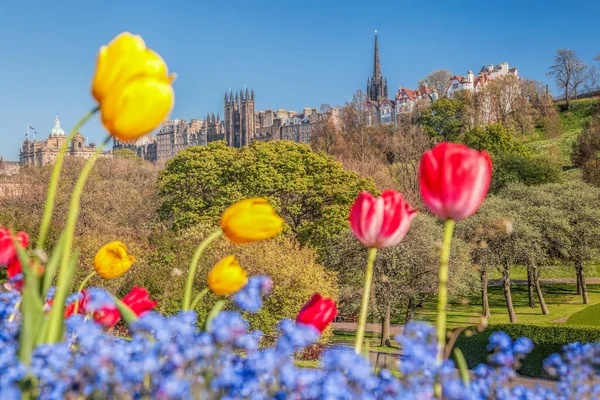 英国苏格兰爱丁堡春天的城市 公园里有五彩缤纷的郁金香 — 图库照片