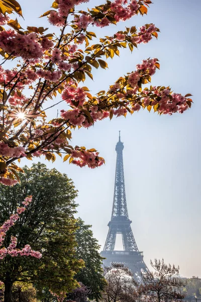 Eiffelturm Mit Blühenden Bäumen Frühling Paris Frankreich — Stockfoto