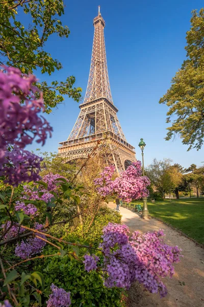 Fransa Nın Başkenti Paris Baharda Çiçek Açan Ağaçlarıyla Eyfel Kulesi — Stok fotoğraf