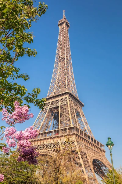 Paris Fransa Ilkbahar Ağaçlarıyla Mavi Gökyüzüne Karşı Eyfel Kulesi — Stok fotoğraf