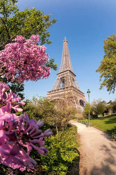 Eiffel Tower Spring Trees Blue Sky Paris France — Stock Photo, Image