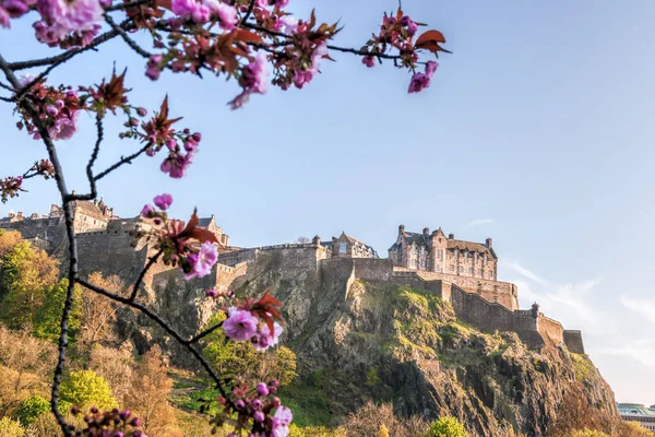 春天树在苏格兰的爱丁堡城堡 — 图库照片