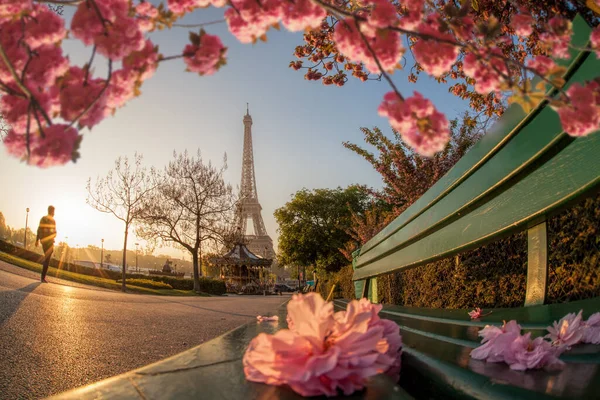 Torre Eiffel Con Alberi Primaverili Parigi Francia — Foto Stock