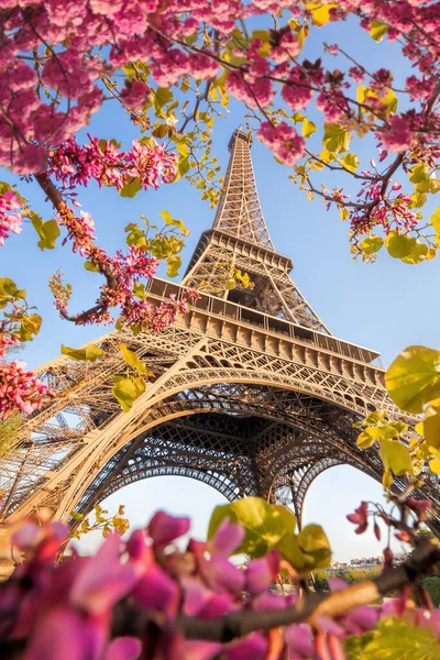 Πύργος Του Άιφελ Κατά Τους Ανοιξιάτικους Μήνες Στο Παρίσι Γαλλία — Φωτογραφία Αρχείου