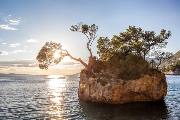Punta Rata Beach Stone Island Brela Makarska Dalmatia Croatia — Foto Stock