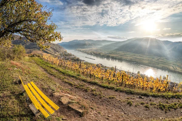 Kolorowe Winnice Dolinie Wachau Przeciwko Spitz Wsi Dunaju Rzeki Austrii — Zdjęcie stockowe