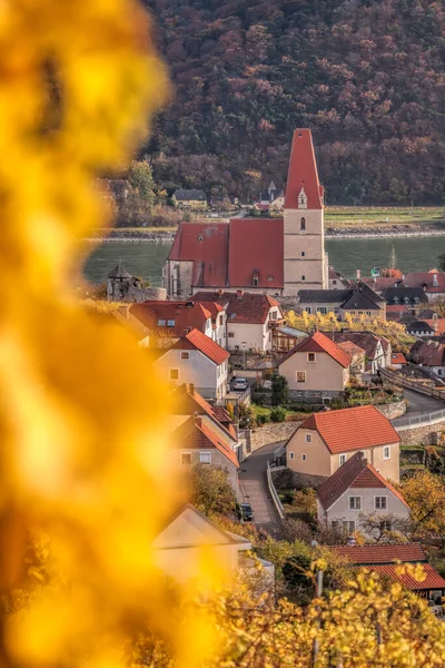 Eglise Dans Village Weissenkirchen Avec Vignobles Automne Dans Vallée Wachau — Photo