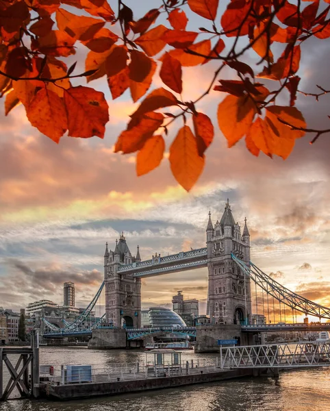 Tower Bridge Mit Herbstblättern London England Großbritannien — Stockfoto