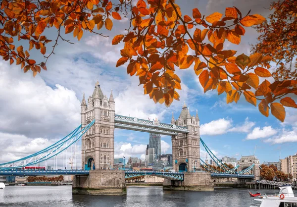 Tower Bridge Autumn Leaves London England — Stock Photo, Image