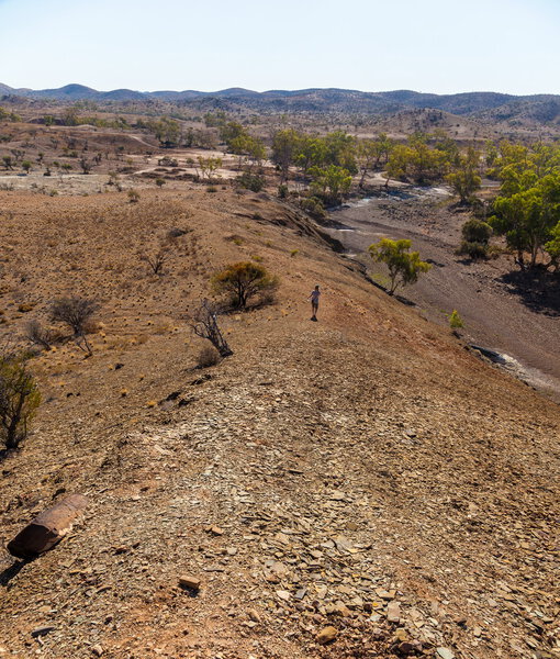 Flinders Ranges landscape. South Australia.