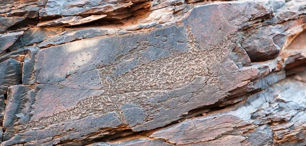 Chambers Gorge aboriginal engraving site. Flinders Ranges. South Australia — Stock Photo, Image