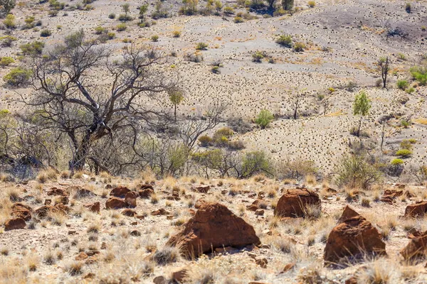 Woestijn landschap. Flinders ranges. Zuid-Australië — Stockfoto