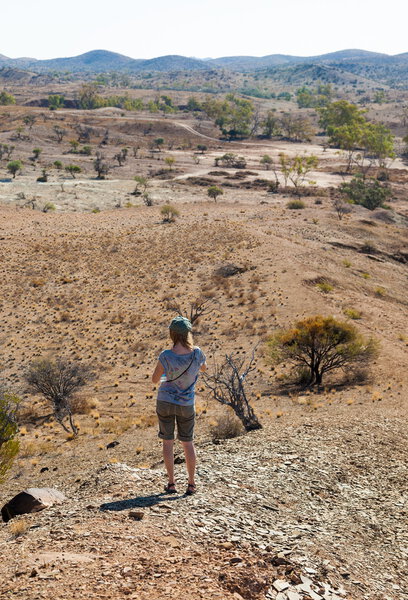 Flinders Ranges landscape. South Australia.