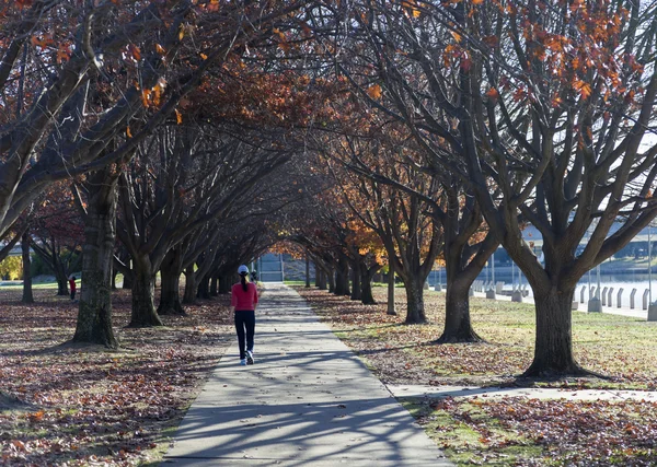 Autumn colours. Embankment of Burley Griffin Lake near National — Stock Photo, Image