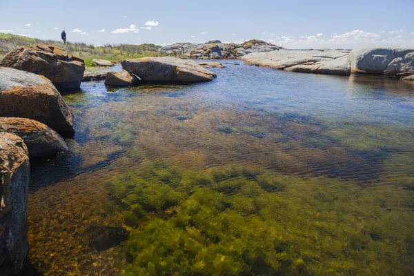 Rock pool nära Ulla Ulla pount. bingie (nära morua). NSW. AUS — Stockfoto