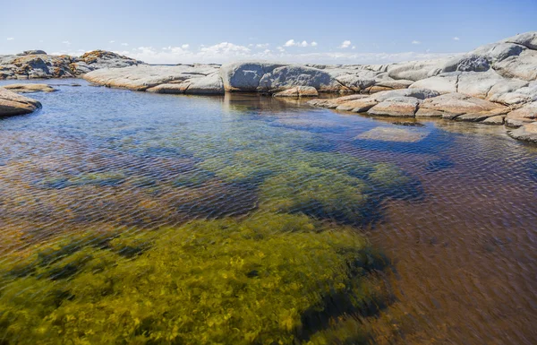 Rock pool nära Ulla Ulla pount. bingie (nära morua). NSW. AUS — Stockfoto