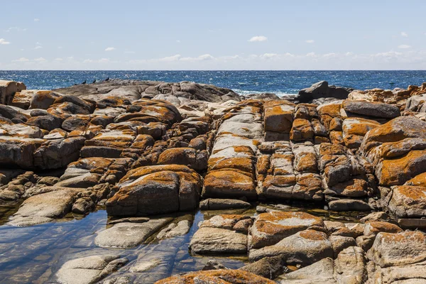 Piscina de rocas cerca de Bingi Bingi pount. Bingie (cerca de Morua). NSW. Aus. —  Fotos de Stock