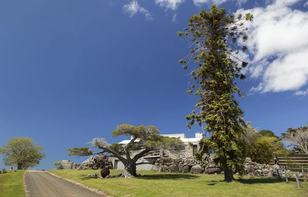 Riesige Bäume und Landhaus Bingie (in der Nähe von Morua). nsw. Australi — Stockfoto