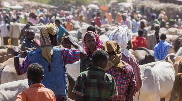 BABILE. ETHIOPIA - DECEMBER 23, 2013: Brahman bull, Zebu and other cattle for sale at one of the largest livestock market in the horn of Africa countries. — Stock Photo, Image