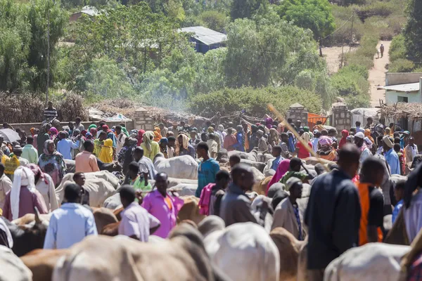 BABILE. ETHIOPIA - DECEMBER 23, 2013: Brahman bull, Zebu and other cattle for sale at one of the largest livestock market in the horn of Africa countries. — Stock Photo, Image