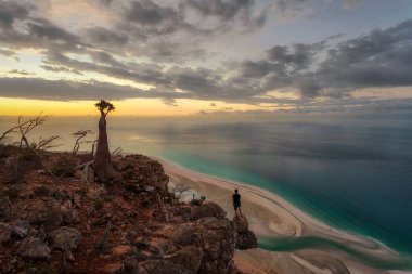 Kasım 2021 'de Socotra, Yemen' deki bir dağlık alanda çekilen şişe ağacı, parantez kullanarak işlenmiş.