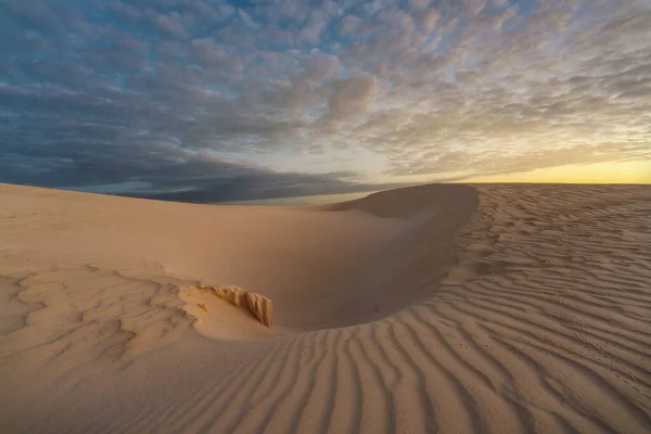 Dunes Sable Long Côte Sud Socotra Yémen Prises Novembre 2021 — Photo