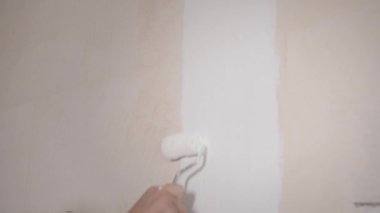 Mutlu genç ve çekici bir kadın dairede duvar boyuyor.