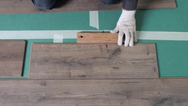 Εργάτης βάζει το laminate στο διαμέρισμα. Laminate βρίσκεται στο πάτωμα στο διαμέρισμα, ο πλοίαρχος παίρνει ένα μπαρ laminate και το βάζει στο πάτωμα. — Αρχείο Βίντεο