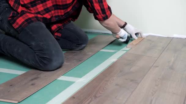 Trabaja hombre instala laminado. Reparación del apartamento, colocación de pisos laminados — Vídeo de stock