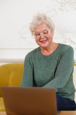 Mutlu yaşlı, yaşlı, kır saçlı kadın büyükanne web kameralı konferansa ailesini arıyor.