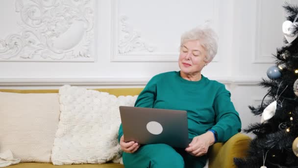 Felice vecchia anziana dai capelli grigi donna nonna di web cam videoconferenza chiamata famiglia — Video Stock