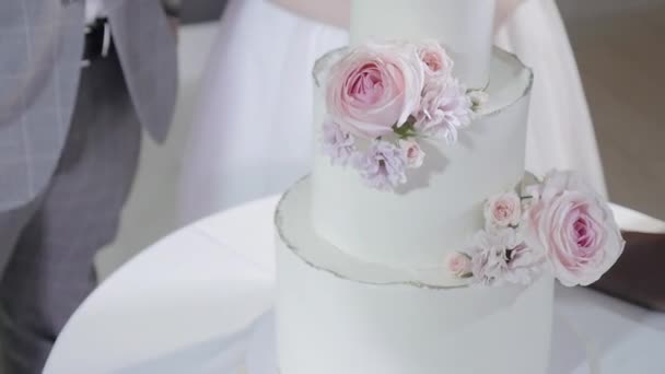 Detalhe do corte do bolo de casamento por recém-casados Bolo de casamento — Vídeo de Stock