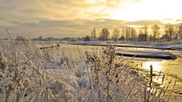 Kış manzarası — Stok video