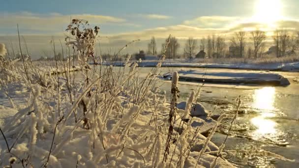 Winter landscape at sunset — Stock Video