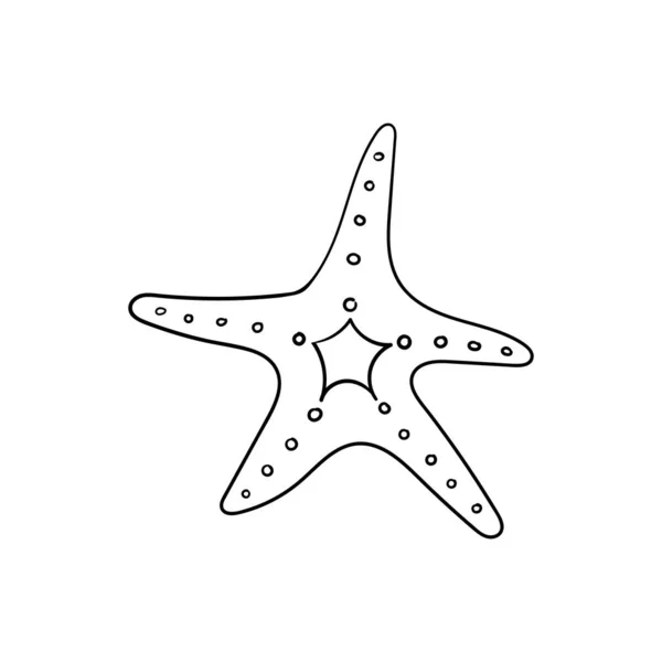 Vektor Linjär Doodle Tecknad Stjärnfisk Handritning Isolerad — Stock vektor