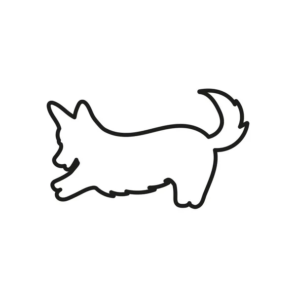 Silueta de contorno vectorial de un corgi galés, silueta de un perro aislado — Archivo Imágenes Vectoriales