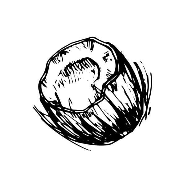 Coconut Hand Drawn Vector Sketch Doodle Icon — Vetor de Stock