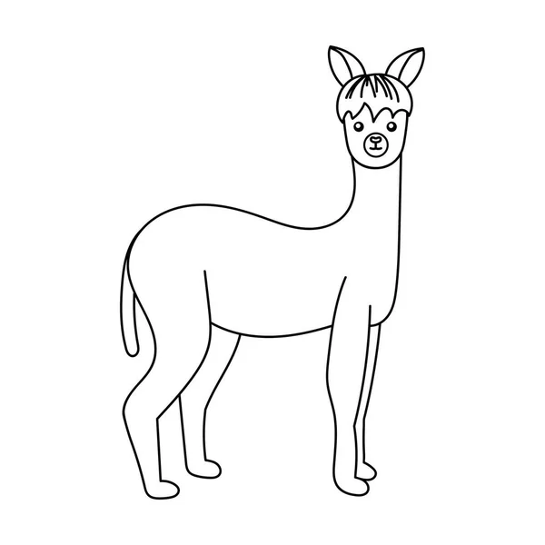 Alpaca Körvonalazott Vektor Ikon Vékony Vonal Fekete Alpaka Ikon Elszigetelt — Stock Vector