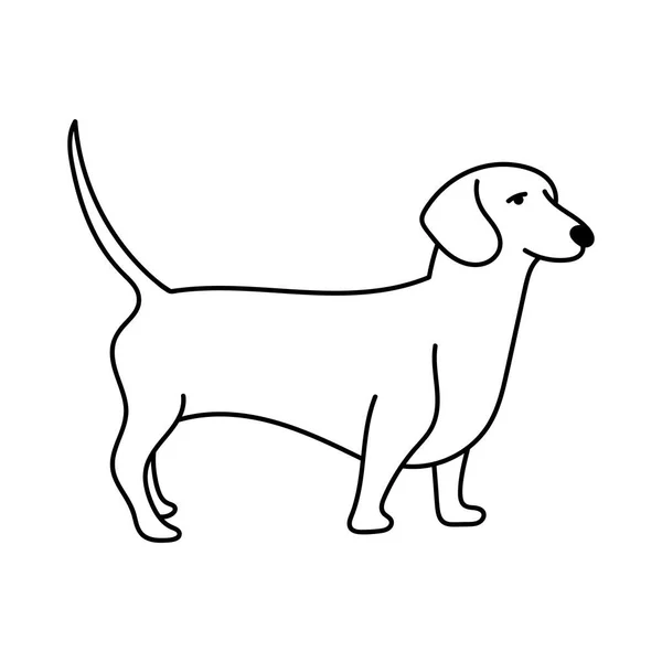 Vetor Ícone Linha Cão Contorno Isolado Símbolo Ilustração Preta — Vetor de Stock