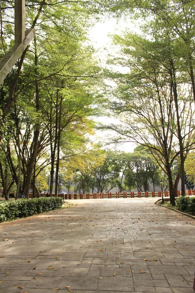 Taman Indah Kota — Stok Foto