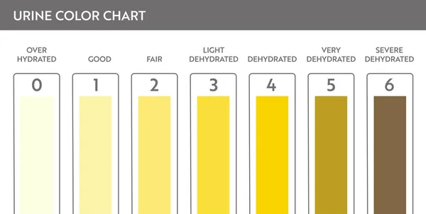 İdrar renk tablosu .