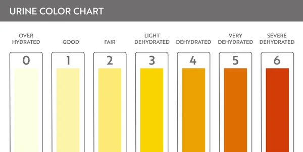 İdrar renk tablosu .