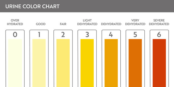 Urine color chart .
