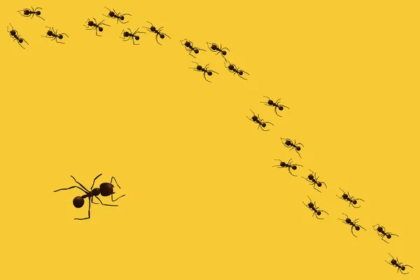 Black ant trail. — Stock Vector