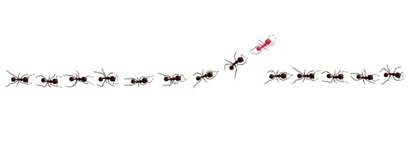Černá mravenčí stopa. — Stockový vektor