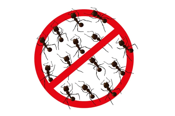 No ant sign. — Stock Vector