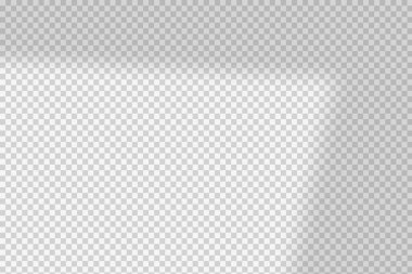 Pencere gölge vektörü kaplaması 