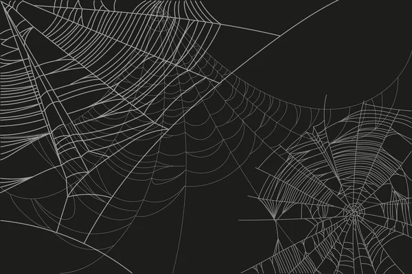 Piezas de tela Spider Ilustración de stock