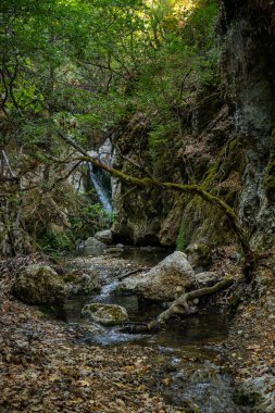 Butterfly valley on Rhodes island, Greece