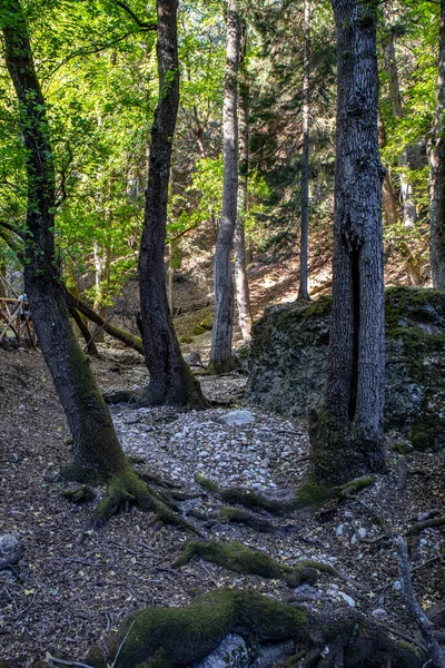 Butterfly Valley Rhodes Island Greece — Stockfoto